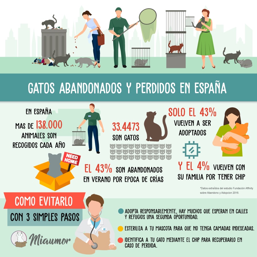España entre los primeros países en abandono Animal
