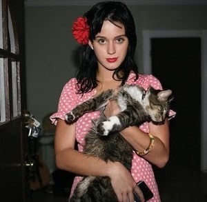 Paralizar perderse Raramente Purr y Meow los perfumes de Katy Perry con los que salvas Gatos!