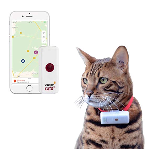 Collar para gato GPS, collar para gato localizador, lindo